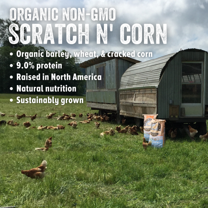 Scratch and Peck Feeds Cluckin’ Good Organic Scratch n’ Corn Corrales