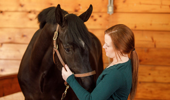 Maintaining Body Condition in Hot Weather