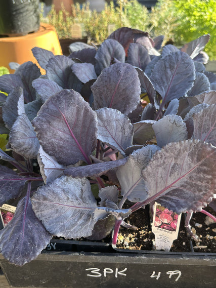 Garden gifts