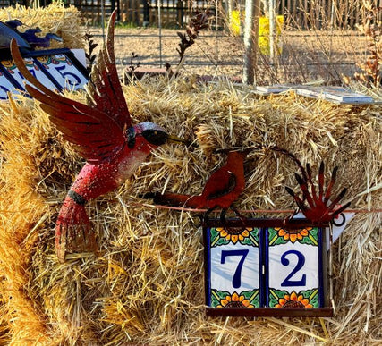 colorful accents for home & garden