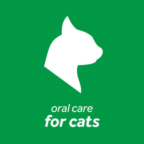 TropiClean Fresh Breath Dental Health Solution for Cats