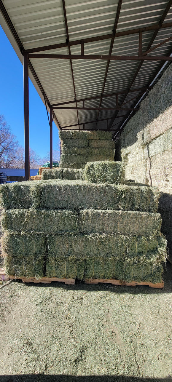 TVM Alfalfa 3-wire