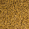 Scratch and Peck Feeds Cluckin’ Good Organic Whole Barley