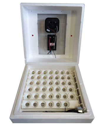 Farm Innovators Digital Circulated Air Incubator With Auto Egg Turner 40 Watts