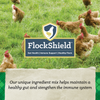 NatureWise® All Flock 20% Protein Crumble