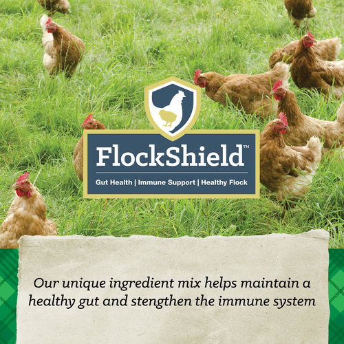 NatureWise® All Flock 20% Protein Crumble