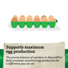 NatureWise® All Flock 20% Protein Crumble