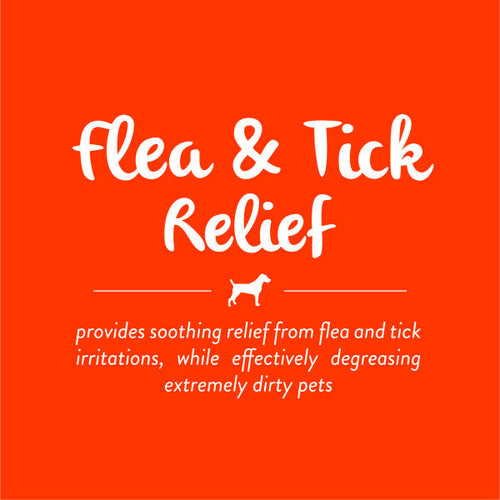 TropiClean Neem & Citrus Flea & Tick Relief Shampoo for Dogs