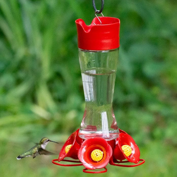 Perky-Pet® Favored Pinch-Waist Glass Hummingbird Feeder