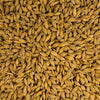 Scratch and Peck Feeds Cluckin’ Good Organic Whole Barley