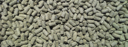 Bluebonnet Intensify® Ex-Factor® Low Starch