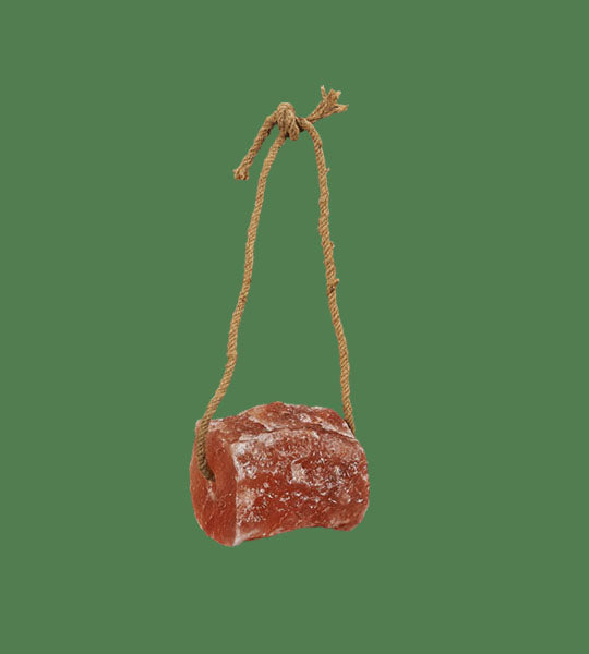 Himalayan Salt Horse lick on a rope mini