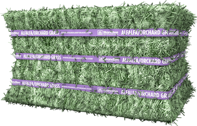 Standlee Premium Alfalfa/Orchard Compressed Bale