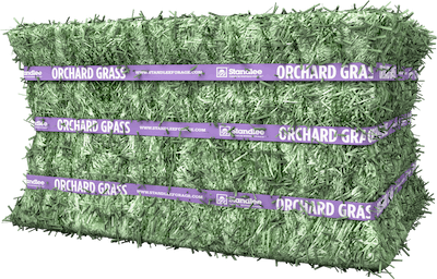 Standlee Premium Orchard Grass Compressed Bale