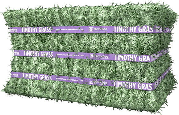 Standlee PREMIUM TIMOTHY GRASS COMPRESSED BALE